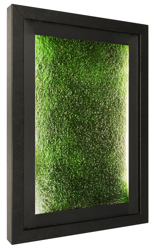 Biofilm