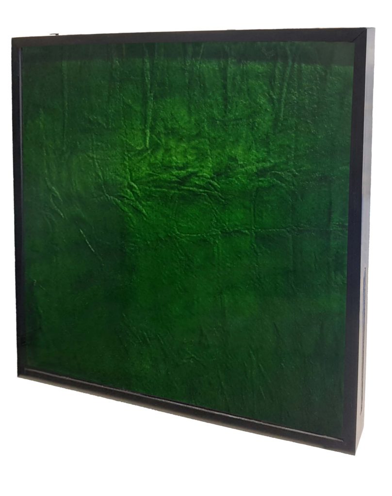 Alwe50 - Das Algenbild