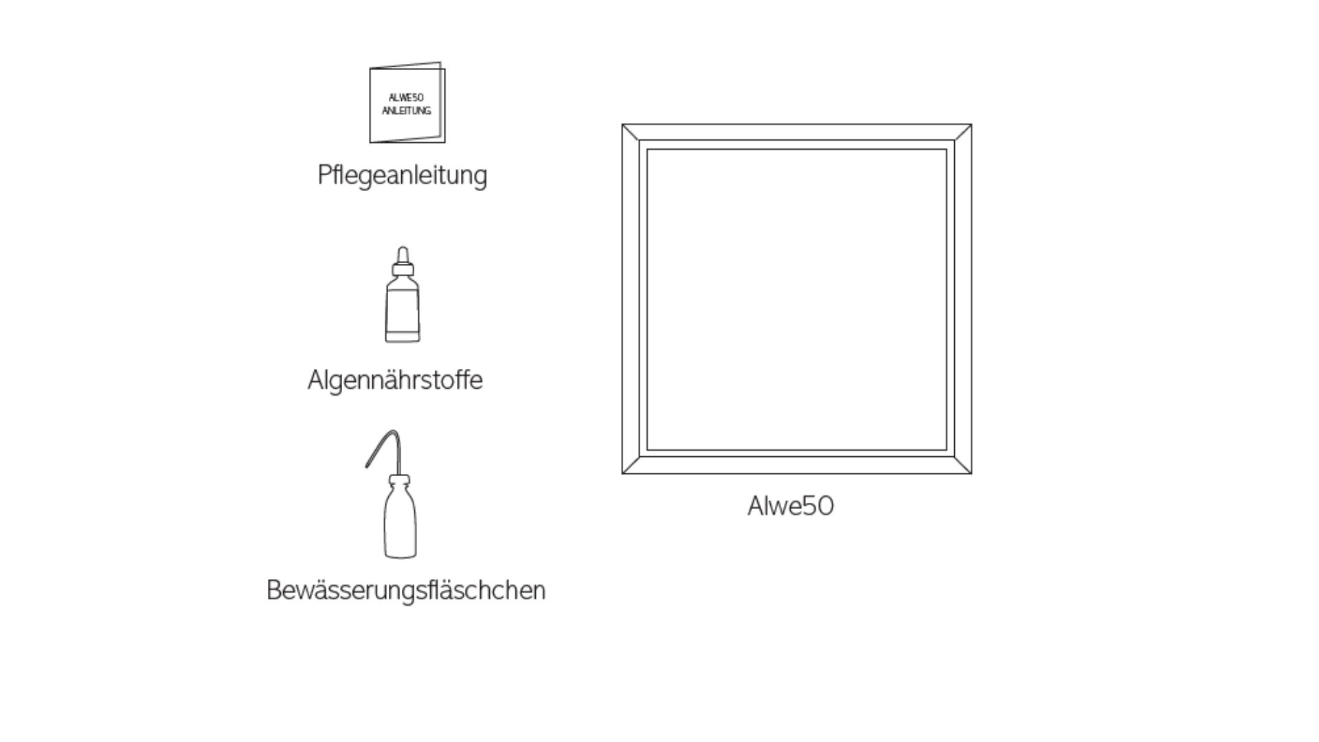 Grunes Design Als Luftreiniger Alwe50 Das Algenbild Solaga