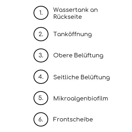 Beschreibung