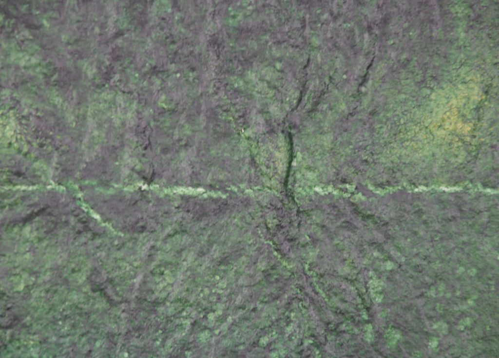 Algen Biofilm