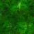 biofilm_05 Compressed Background Algenbild